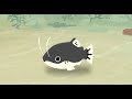 Understanding the Life of a Fish