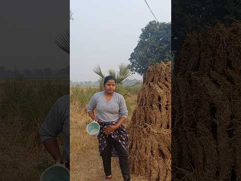 #TIMELAPSE: START to FINISH Alone BUILD LOG Cabin (Wooden House