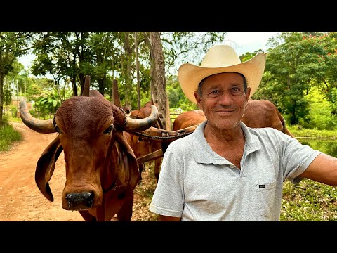 O CARRO DE BOI DO SEU TÓTA EM MINAS GERAIS