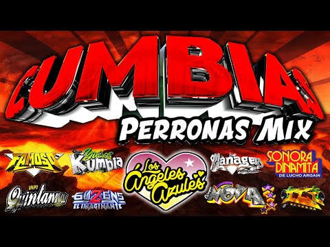 ⚡ÉXITOS DE CUMBIAS PERRONAS 2025😍MIX CUMBIAS PARA BAILAR TODA LA NOCHE💃🕺LAS CUMBIAS DE TU VIDA🎉