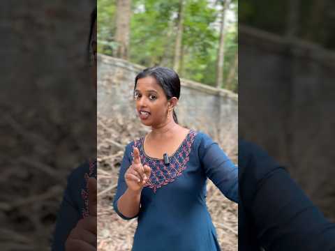 Family love & care🥰😍#viralvideo #shortsfeed #youtubeshorts #youtube #trending #love #like