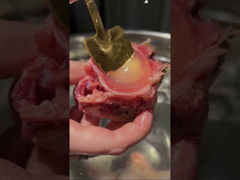 قطعه داخل سمكه التونه تباع بآلاف الدولارات 😱