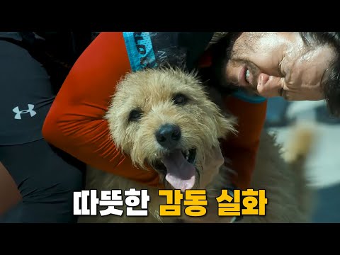 감동적인 실화를 바탕으로 만든 힐링 영화[영화리뷰/결말포함]