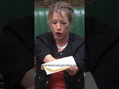 Labour MP slams government's welfare reforms