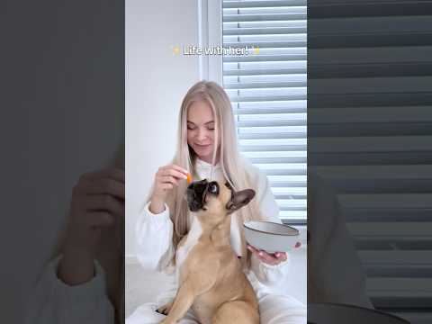 🐶 Life with dog 🐶➡️🩷  #dog