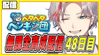 ペタペタペンギン団 無課金育成配信　月曜日の崩壊空間