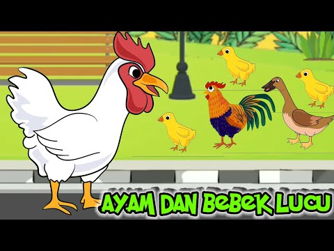 Tek Kotek Kotek | Ayam Berkokok Dan Bebek | Lagu Anak Anak