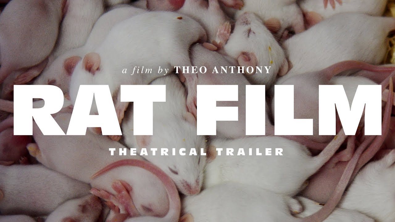 Rat Film Trailer thumbnail