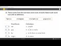 Understanding Word Roots and Meanings