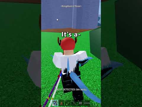 1 Month of Fruits in Blox Fruits