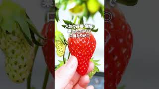 華やぎ観光農園について紹介♪ #shorts