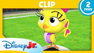 ⚽ Fußballstar Kuckulina! | Micky Maus: Spielhaus