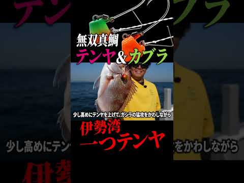 【伊勢湾一つテンヤ】無双真鯛シリーズの新製品！テンヤ＆カブラでいろいろな魚がヒット！#ハヤブサ #釣り #一つテンヤ #伊勢湾 #忠栄丸  #貫撃テンヤ #貫撃カブラ