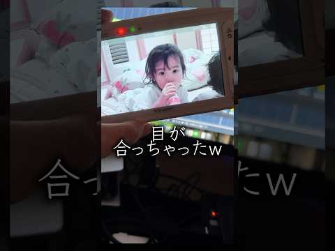 目が合っちゃったw