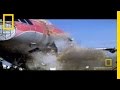 Explosive Testing and Material Resilience