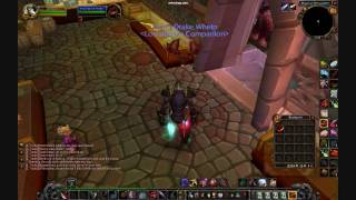 Rope Pet Leash - Item - World of Warcraft