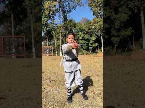 Kung Fu Longsheng Xiaolong practiced Shaolin Five-Step Fist outdoors#Shaolin Kung Fu#Shaol