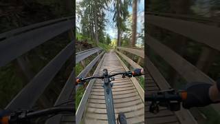 Mit dem Focus JAM² 7.9 E-MTB in der Trailarea #mtb #focusbikes #emtb