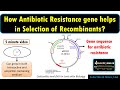 Genetic Engineering Selection Techniques