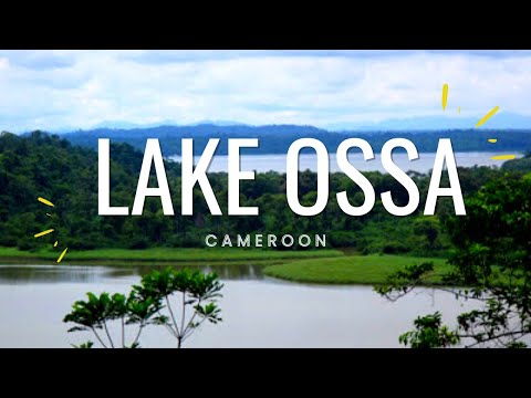 CAMEROON: LAKE OSSA