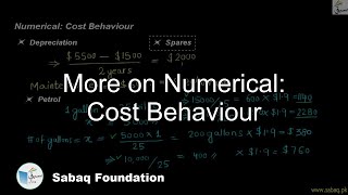 More on Numerical: Cost Behaviour