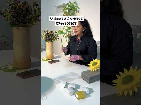 සැත්තැම්බර් පංතියට දැන් Register වෙන්න පුලුවන් #vlog