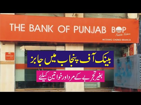 Bank Of Punjab Jobs 2025 - Bank Of Punjab Jobs Online Apply - BOP Bank Jobs - Bank of Punjab Career