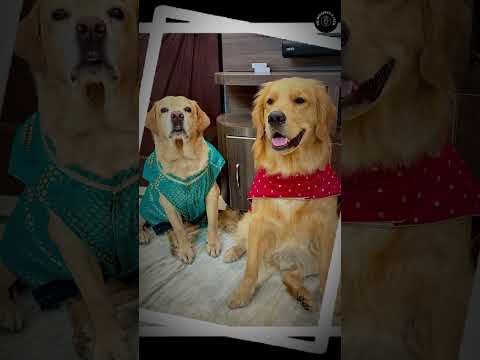 When I Almost Gave Up YouTube | ft. Anant Rastogi #themotormouth #anantrastogi #shorts #struggle