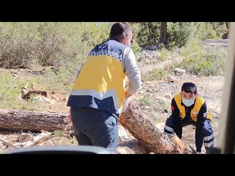 Sağlıkçıların hastaya ulaşma mücadelesi: Yoldaki kütükleri kaldırdılar