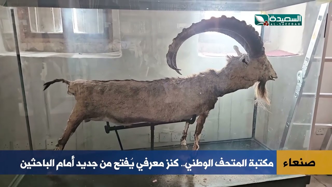 قناة السعيدة
