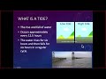 Understanding Tides and Their Causes