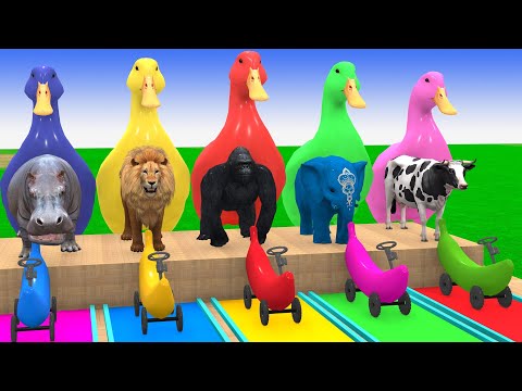 Long Slide Game With Cow Elephant Gorilla Hippopotamus Tiger 3d Animal Game Funny 3d Animals
