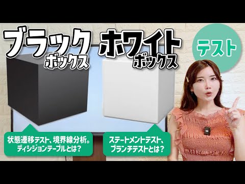 ブラックボックス vs ホワイトボックス🎁どっちが大事？手法を解説！
