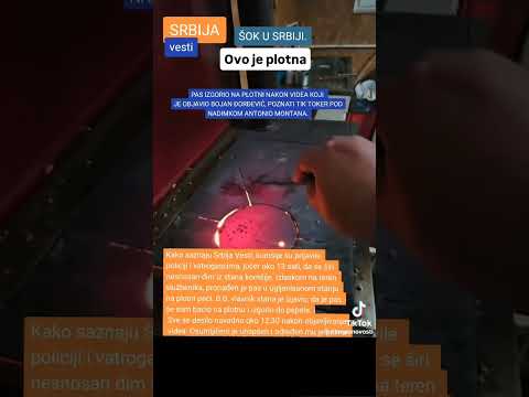 PAS IZGOREO NA PLOTNI NAKON TIKTOK SNIMKA – POLICIJA UPALA U STAN, VLASNIK UHAPŠEN
