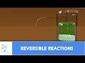 Reversible Reactions and Their Characteristics