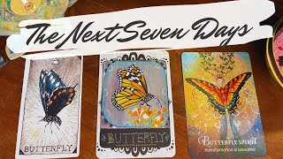 The Next 7 Days 🦋 What Will Happen? pick a card