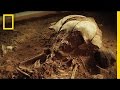 Archaeological Discoveries in Germany