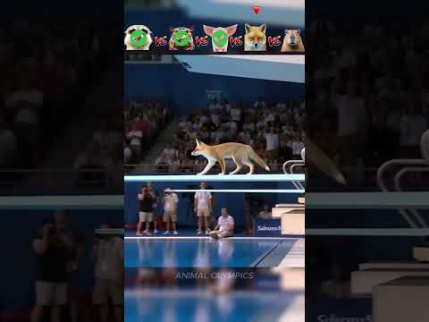 Lemur vs Hippo vs Pig vs Wolf vs Capybara - Diving Challenge😮