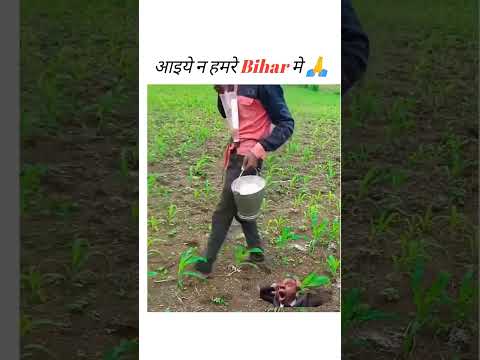 Bihar is not for beginners 🙏😅 #ytshorts #funny #memehub #funnyimages #comedy #indian #daliymemes
