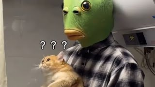 【牛奶是只猫】第一次吃猫猫，怎么回事？