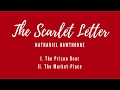 Themes and Symbols in The Scarlet Letter