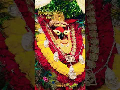जय जय विंध्यवासिनी देवी 🪔🌷🌷🌺🙏🏼