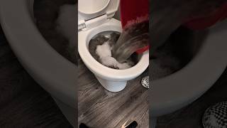 DIY Disaster Carpet Cleaning