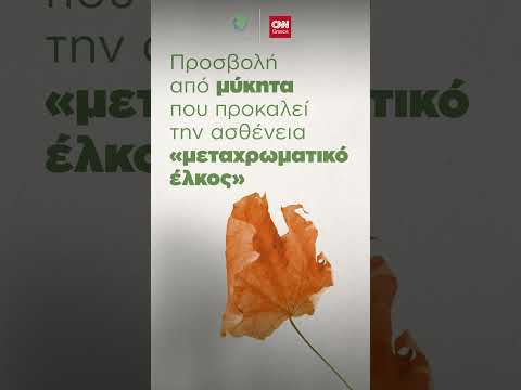 Γιατί «πεθαίνουν» τα πλατάνια και τα έλατα της Ελλάδας #actforearth #shorts