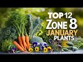 Winter Gardening Essentials and Techniques