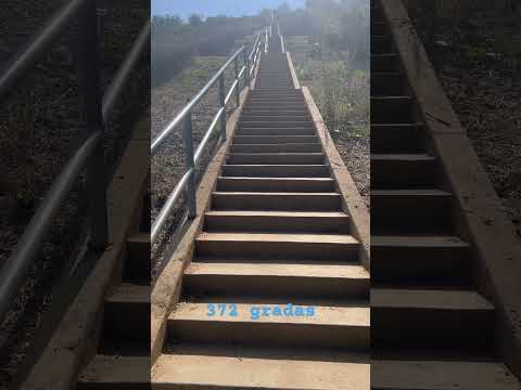 Podré subir 372 gradas veamos cyti calabaza Estados Unidos