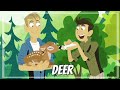 Whitetail Deer Behavior and Characteristics