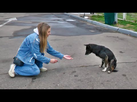 They Broke his Two Legs and Left him to Survive at Gas Station on Highway...