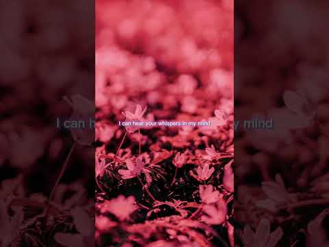 Alan Walker - Sing me to Sleep - WhatsApp Status