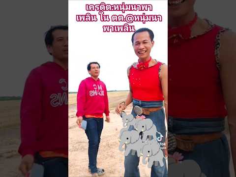 "ช้างเป็นโขลง"#หนุ่มนาพาเพลิน